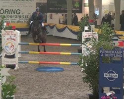 jumper Glenn Jaro (German Sport Horse, 2003, from Glenn Mentino)