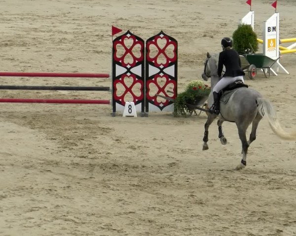 Reitturnier Wädenswil 2022