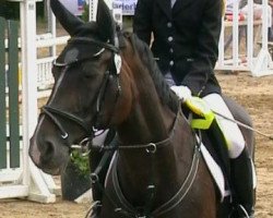 horse Ronja Räubertochter (German Warmblood, 1996, from Ramiro's Bube)