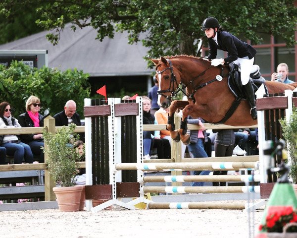 jumper Calinka 66 (Hanoverian, 2014, from Cadanos)