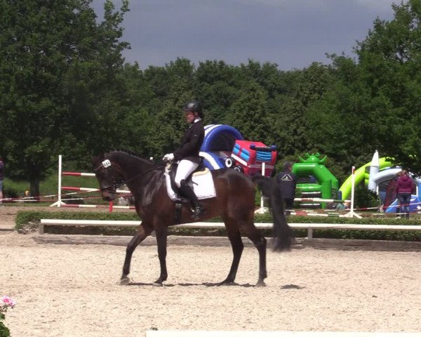 Reitturnier Hamm-Rhynern 2022