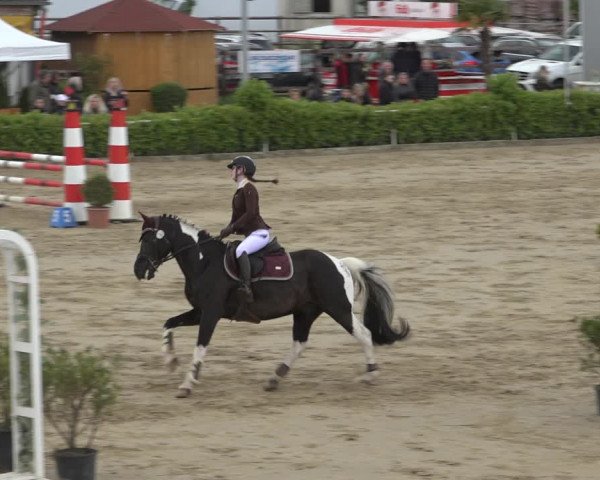 Reitturnier Bornheim-Widdig 2022