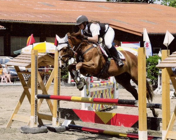 dressage horse Ricco 102 (Hungarian Warmblood, 2001)