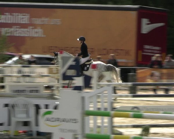 Reitturnier Hellefeld 2022