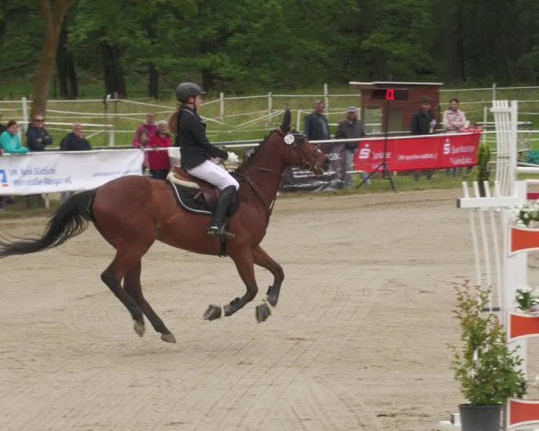 Reitturnier Billigheim 2022