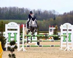 Springpferd Cornebello VD Mombeekvallei (Zangersheide Reitpferd, 2015, von Cornet Obolensky)