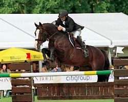 stallion Leader M (Belgian Warmblood, 1988, from Rebel Z I)