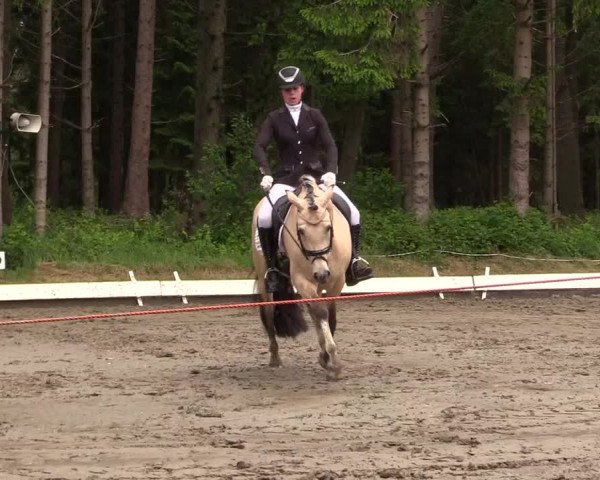 Reitturnier Kellinghusen 2022