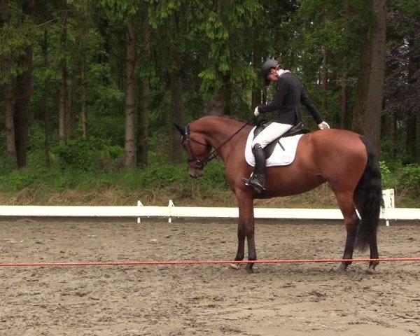 Reitturnier Kellinghusen 2022