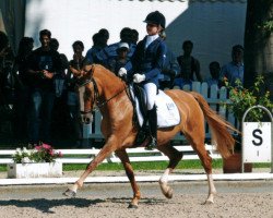 dressage horse Donja Wansuela (Deutsches Reitpony, 2006, from FS Don't Worry)