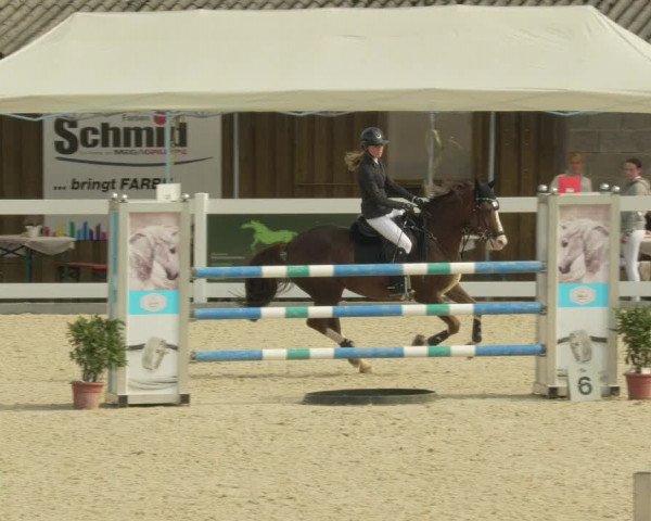 Springturnier Memmingen 2021
