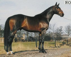 Deckhengst Velcome Fontaine (Selle Français, 1987, von Alme)