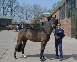 broodmare Ria Rolanda (Oldenburg, 2004, from Con Capitol)