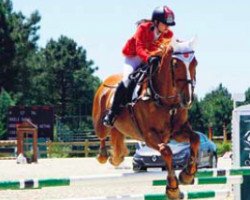 Springpferd Grenada van de Withoeve (Belgisches Warmblut, 2006, von Wandor van de Mispelaere D'10)