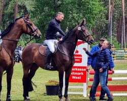 broodmare Lobelia 12 (German Sport Horse, 2014, from Levistano)