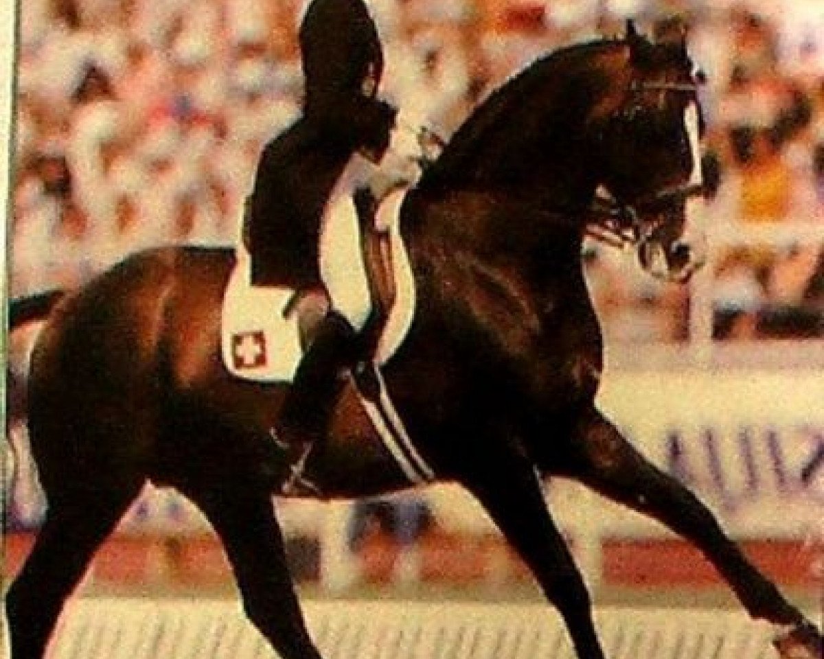 stallion Gauguin de Lully (Swiss Warmblood, 1975, from Chagall)