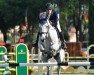 jumper Kasper del Rilate (Belgium Sporthorse, 2016, from Cassirano del Rilate)