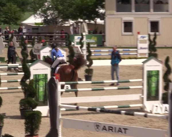 Reitturnier Kirchhellen/Stall Dieckmann 2022