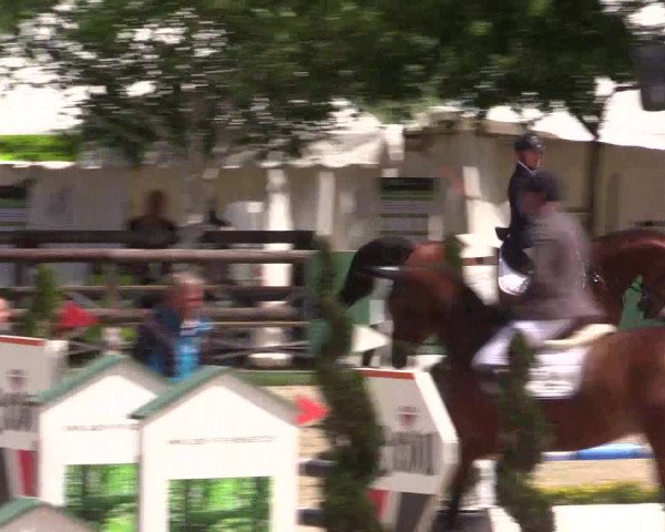 Reitturnier Kirchhellen/Stall Dieckmann 2022