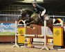 jumper Conluis (German Sport Horse, 2007, from Cashmaker)