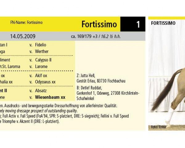 Dressurpferd Fortissimo 39 (Hannoveraner, 2009, von For Compliment)