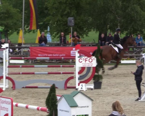 Reitturnier Kirchhellen/Stall Dieckmann 2022