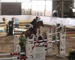 Springpferd Copabella Cadiz (Australisches Warmblut, 2005, von Chin Chin)