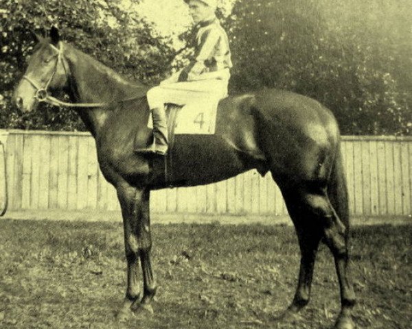 stallion Chamossaire xx (Thoroughbred, 1942, from Precipitation xx)