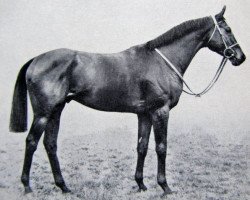 stallion Santa Claus xx (Thoroughbred, 1961, from Chamossaire xx)