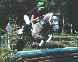 dressage horse Didgeridoo (German Riding Pony, 1999, from De Vito)