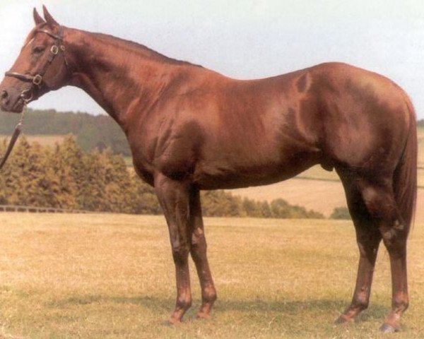 stallion Cadeaux Genereux xx (Thoroughbred, 1985, from Young Generation xx)