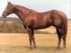 stallion Cadeaux Genereux xx (Thoroughbred, 1985, from Young Generation xx)