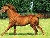 stallion Bahamian Bounty xx (Thoroughbred, 1994, from Cadeaux Genereux xx)