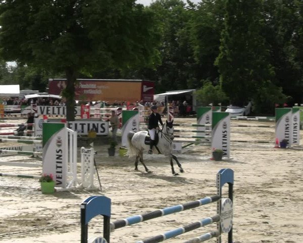 Reitturnier Hellefeld 2022