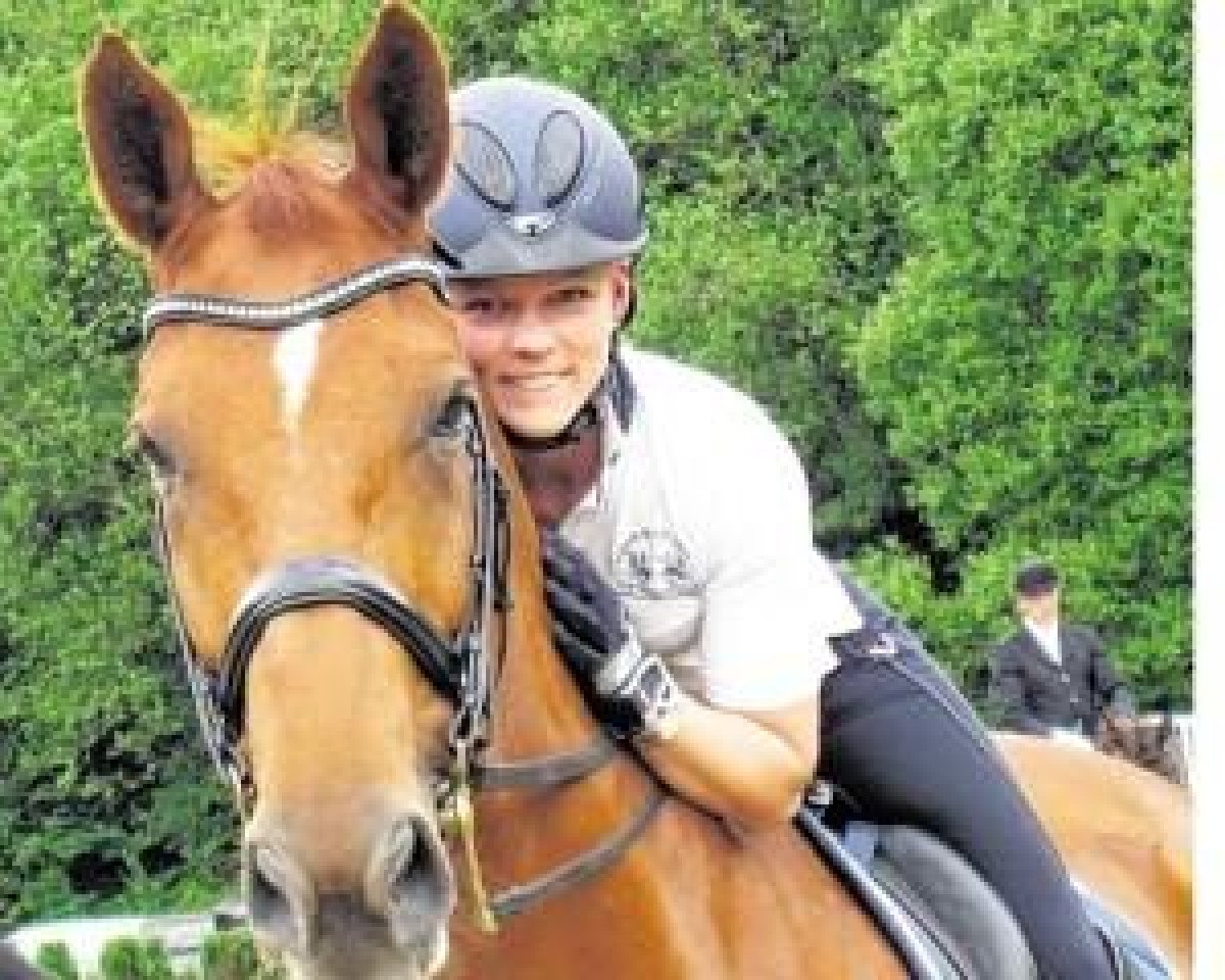 dressage horse Wilhelm V. (Hanoverian, 2003, from Weltmeyer)