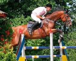 jumper Lamara 13 (Hessian Warmblood, 2001, from Latouro)