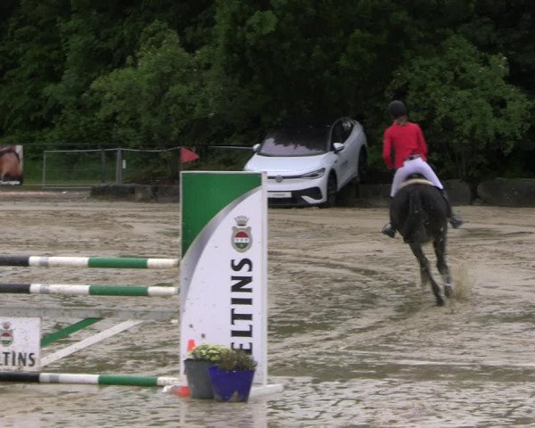 Reitturnier Hellefeld 2022