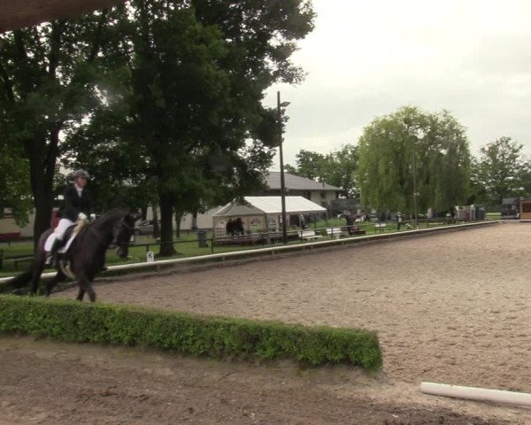 Reitturnier Hamm-Rhynern 2022
