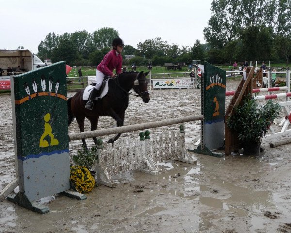 dressage horse Ajour D (German Riding Pony, 1994, from Amarillys Sensation D)