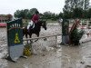 dressage horse Ajour D (German Riding Pony, 1994, from Amarillys Sensation D)