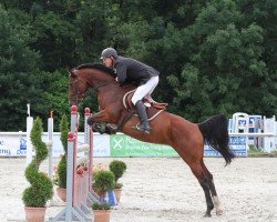 broodmare Aysha 38 (Oldenburg show jumper, 2004, from Cyrano)