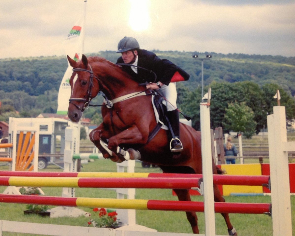 Zuchtstute Astra (Hessisches Warmblut, 1991, von Acalwahn)
