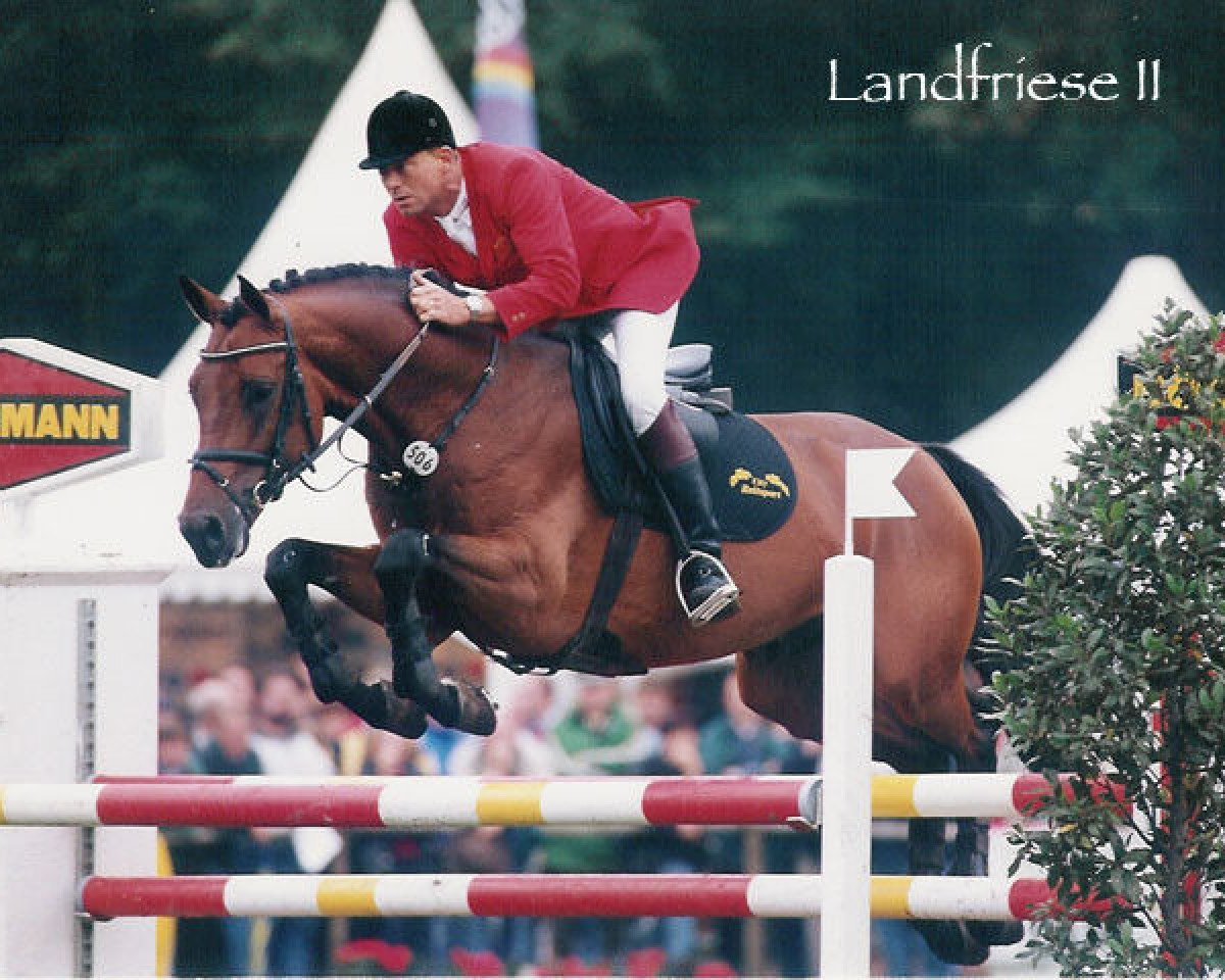 stallion Landfriese II (Oldenburg, 1992, from Landadel)