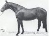 stallion Ligorett (Holsteiner, 1986, from Lord)