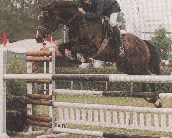 stallion Lordon (Bavarian, 1984, from Lord)