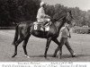 stallion Orofino xx (Thoroughbred, 1978, from Dschingis Khan xx)