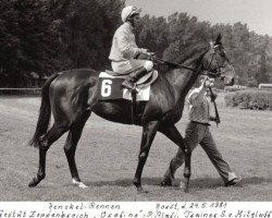 stallion Orofino xx (Thoroughbred, 1978, from Dschingis Khan xx)