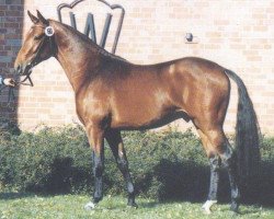 stallion Landro L (Westphalian, 1992, from Landadel)