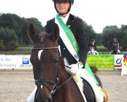 dressage horse Donna 608 (German Riding Pony, 2004, from Der feine Lord AT)