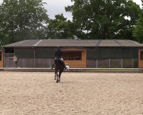 Reitturnier Hamm-Rhynern 2022